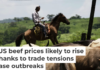 The U.S.-Mexico beef market has taken a massive hit from the screwworm parasite, which has spread from Mexico to Texas and New Mexico. AP Photo/Isabel Mateos, file